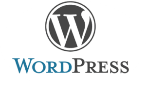 Scube WordPress Website Developer